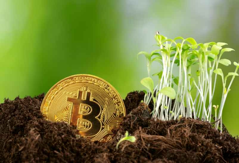 Le Criptovalute e il loro impatto ambientale